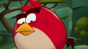 Angry Birds | Best Friends Goals!