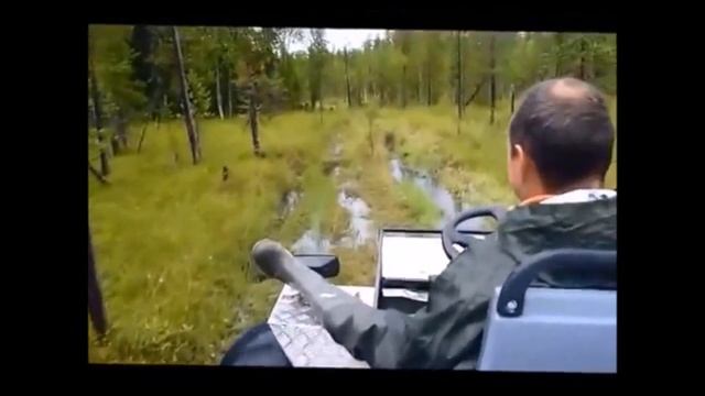 самоделкины кулибины смотреть онлайн