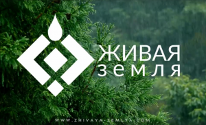 Видео отчет «Слёта лидеров» компании «Живая Земля»