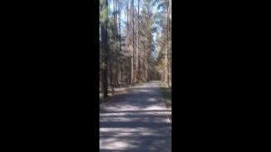 Одинцово  - Усово Тупик