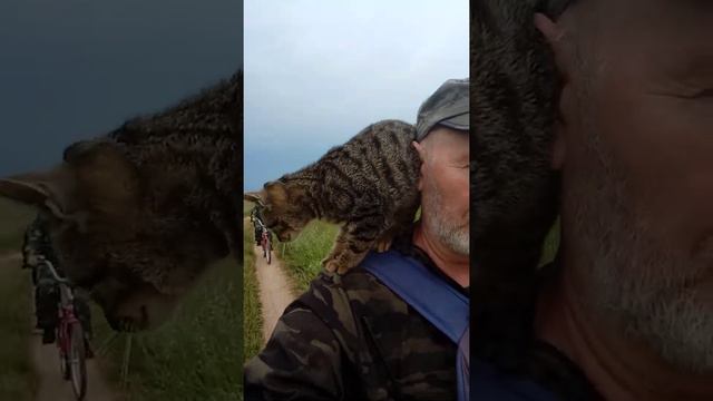 Кот потеряшка, назвал его Магелланом. Едем с истока Камы по Кулигинскому холму. смотреть онлайн