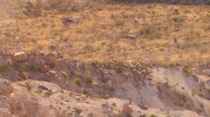 Охота на гривистого барана. Снежный человек/SASQUATCH MOUNTAIN MAN (Охотник и рыболов)