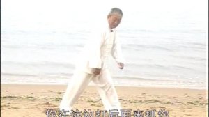 Удан. Школа свернувшегося дракона. 12 дорожек Тан Туй. Ч 1