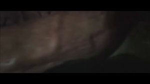 Братья из Гримсби в матке у слона