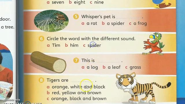 English Year 1 (23) | Quiz time | Pg. 45 смотреть онлайн