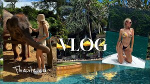 Отдых в Тайланде | экскурсия | знакомство со слонами | пробую тайские фрукты