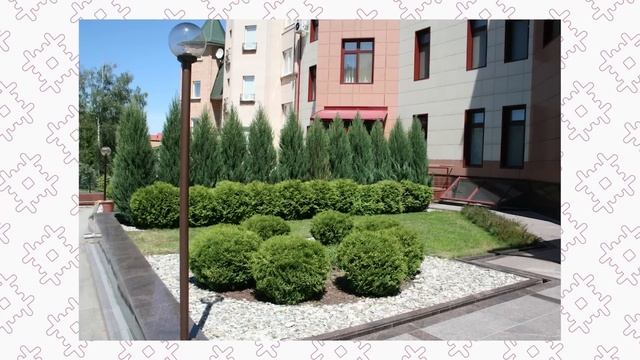 Сажать или не сажать ядовитые растения. смотреть онлайн