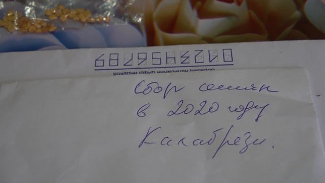 Внимание! Розыгрыш семян. смотреть онлайн