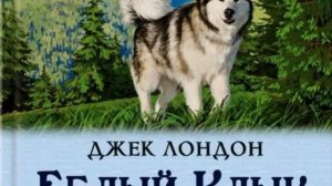 "Белый клык" — Джек Лондон  —Гл 2 Волчица — читает Павел Беседин