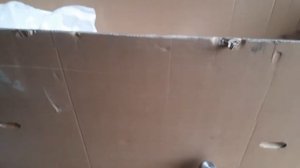 Новый Cross Storm из коробки перед сборкой. Краткий обзор. Июль 2021.