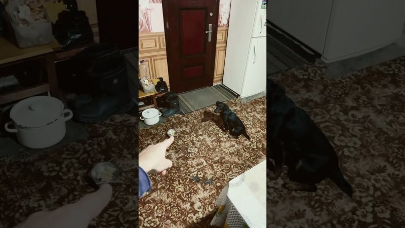 Понятно кароче.