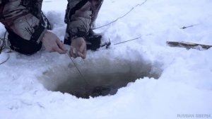Зимняя рыбалка 2018 Рыбалка в ХМАО