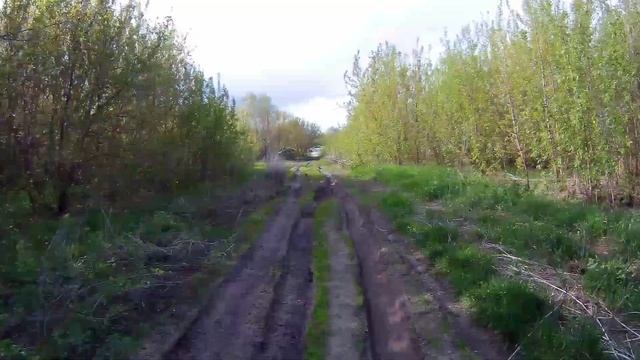 Донки крокодилы на реке Дон | Воронеж - Шилово | начало мая