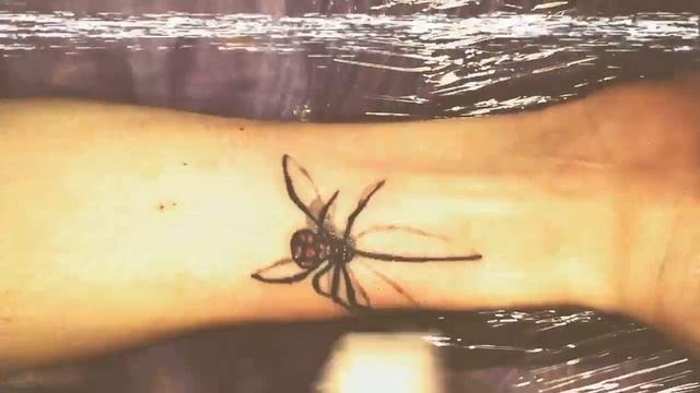 Тату студія м.Стрий смотреть онлайн