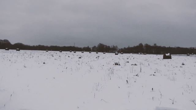 СТАРИННАЯ КАЗАЧЬЯ ПЕСНЯ НА СТИХИ БАЙРОНА | КОЛЕНКОРЪ смотреть онлайн