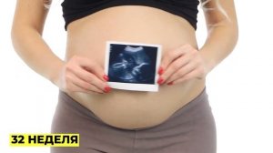 Развитие Плода 26 - 40 Неделя Беременности. Развитие плода по Неделям.