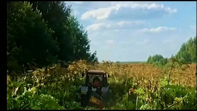 подготовка к празднику день деревни Норино 1-я часть Кировской обл смотреть онлайн