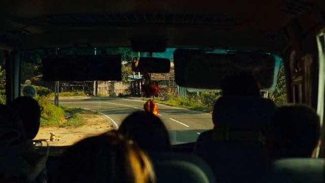 ШРИ-ЛАНКА | НОВЫЙ ГОД 2023 смотреть онлайн