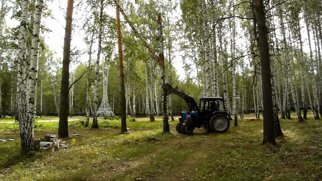 как правильно убегать от падающего дерева смотреть онлайн