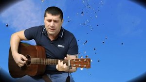 Голуби летят над нашей зоной.