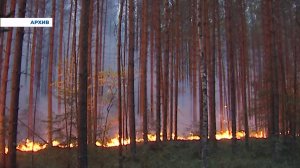 Отмена особого противопожарного режима в Свердловской области