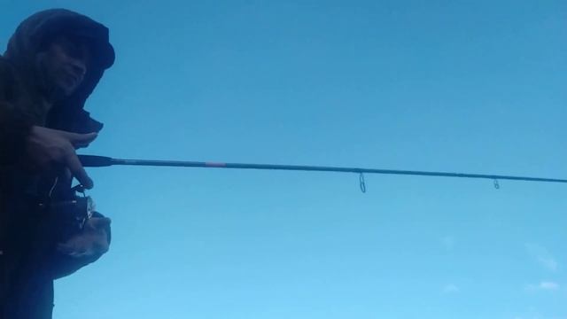 Нарвал аргумент. тест и мое личное мнение. смотреть онлайн