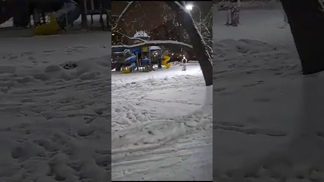 Видео от Лидии Алексеевны из Москвы 24.11.23. смотреть онлайн