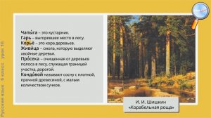 Русский язык 6 класс (Урок№16 - Общеупотребительные слова и слова ограниченного употребления.)