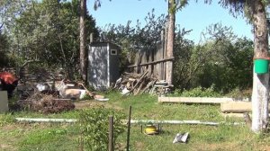 Косим траву бюджетным электротриммером WERK TE 301