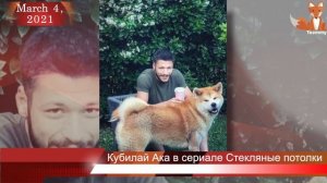 Кубилай Ака в летнем сериале Стекляные потолки