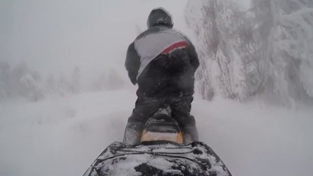 Широковское Ослянка Губаха смотреть онлайн