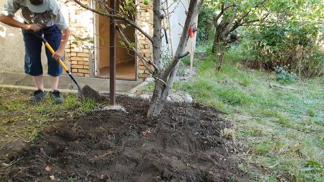 1 17 Растёт Зелёная трава на даче 4 смотреть онлайн