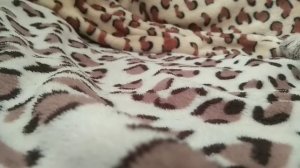 Что взять басику на море ,на дачу ,или в дорогу