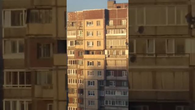 Следить за людьми смотреть онлайн