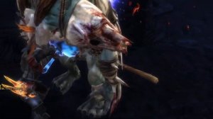 kingdoms of amalur: re-reckoning обзор информации
