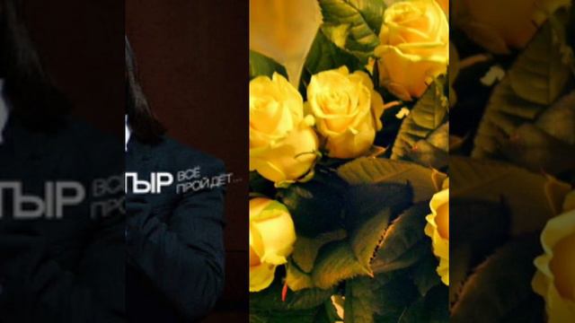 В память Батырхана Шокенова посвещается! смотреть онлайн