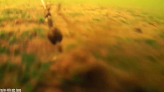 Рыбалка? ЗРЕЛИЩНЫЕ ПОКЛЕВКИ ГИГАНТСКИХ ЩУК на СЕЛЕДКУ. Подводная съемка. Супер трофей. смотреть онлайн