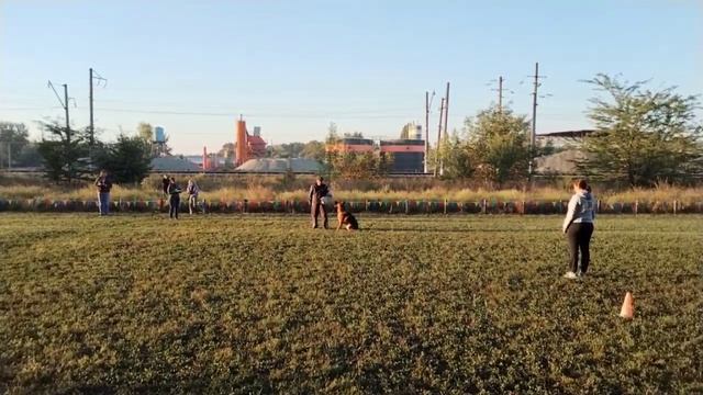 1 SG Зависть Богов ШЕНОН (Sarmat v. Gold Sieg – Зависть Богов Зонда Революшн) 30 им