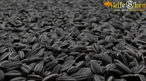 Порча на подклад, как найти и обезвредить подклад?