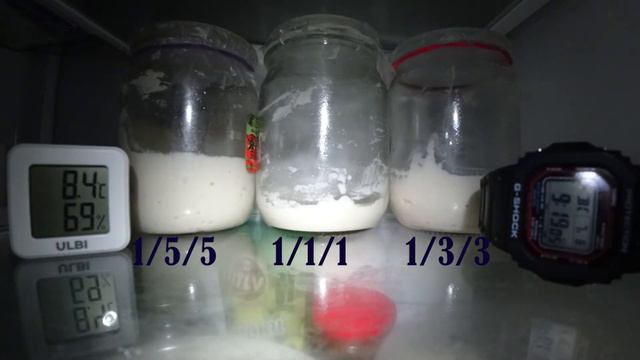 Пшеничная закваска. Таймлапс. В холодильнике. смотреть онлайн