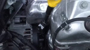 Номер двигателя Форд 1.5 дизель.