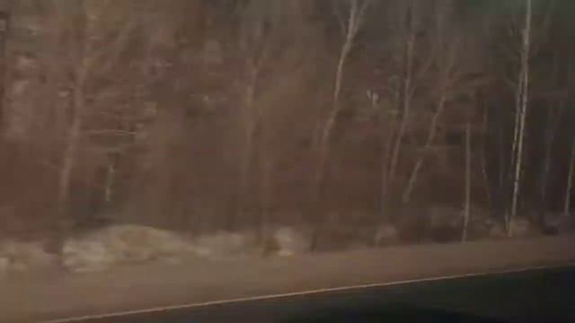 Поездка в г. Лесозаводск смотреть онлайн