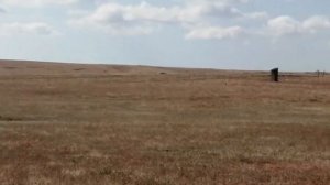 Заповедник озеро Ачи, Крым, Кировский район, 28 сентября 2019