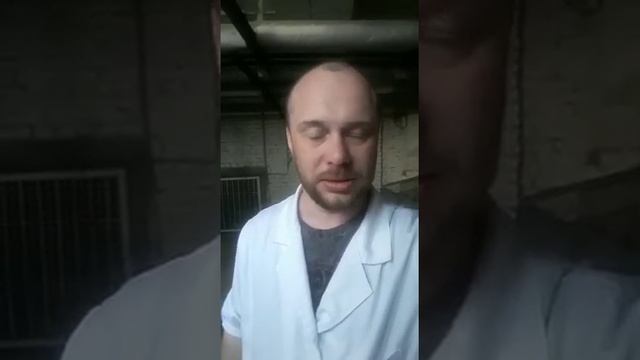 Р Киплинг. 1 из 1000. смотреть онлайн