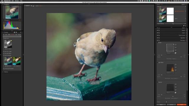 Exposure X3 by Alien Skin - Presets and Overlays смотреть онлайн