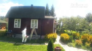 #Осы в фронтоне дома.Как избавиться от #ос #шершней ?Вызвали #Биотрикс