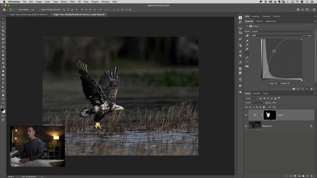 My #1 Wildlife Photo Editing Trick смотреть онлайн