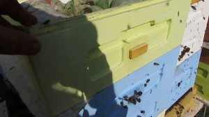 сравниваю ульи - про улей фирмы Лысонь ( Łyson ) и ульевое дно фирмы Биненхаус ( bienenhaus )