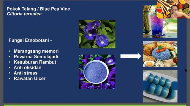 COLORING SEMULA JADI DI LAMAN KITA смотреть онлайн