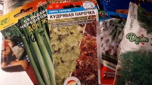 Что посеять в теплицу осенью?